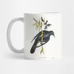 White-winged Chough Mug